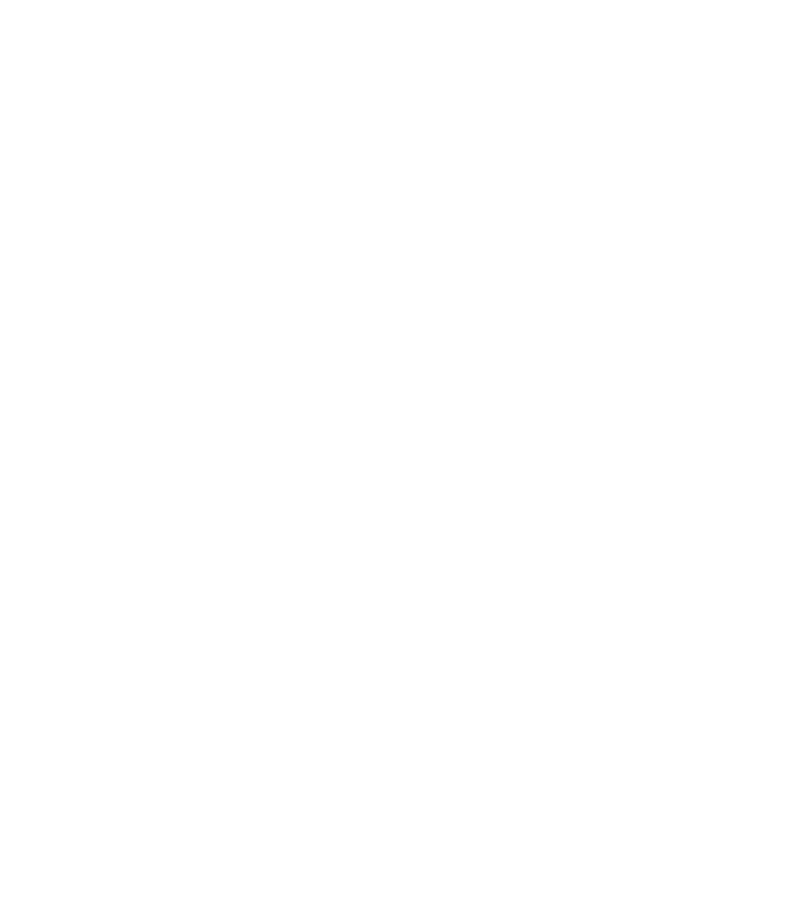 The Dance Company